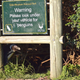 Un pingüino se esconde bajo un cartel que advierte de la presencia de pingüinos a los conductores en Boulders Beach, Ciudad del Cabo, Sudáfrica.